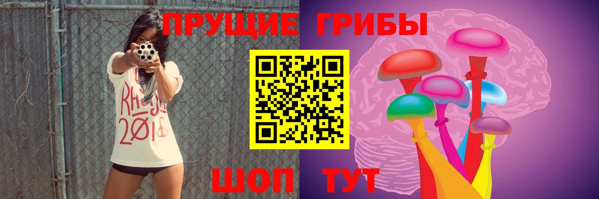 Узловая  Галлюциногенные грибы прущие грибы  Вход с VPN  Псилоцибиновые грибы GOLDEN TEACHER 